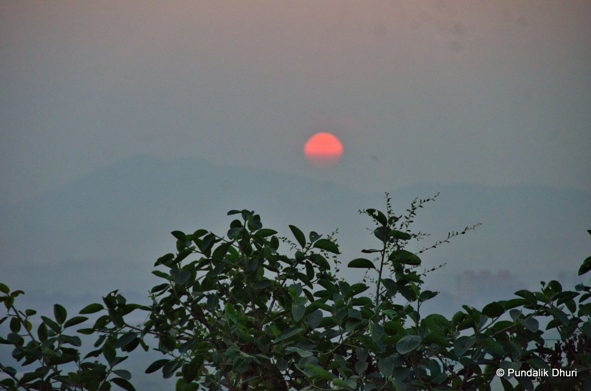 The Red Sun | उनाड
